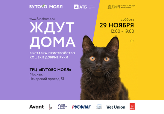 Афиша выставки Ждут дома