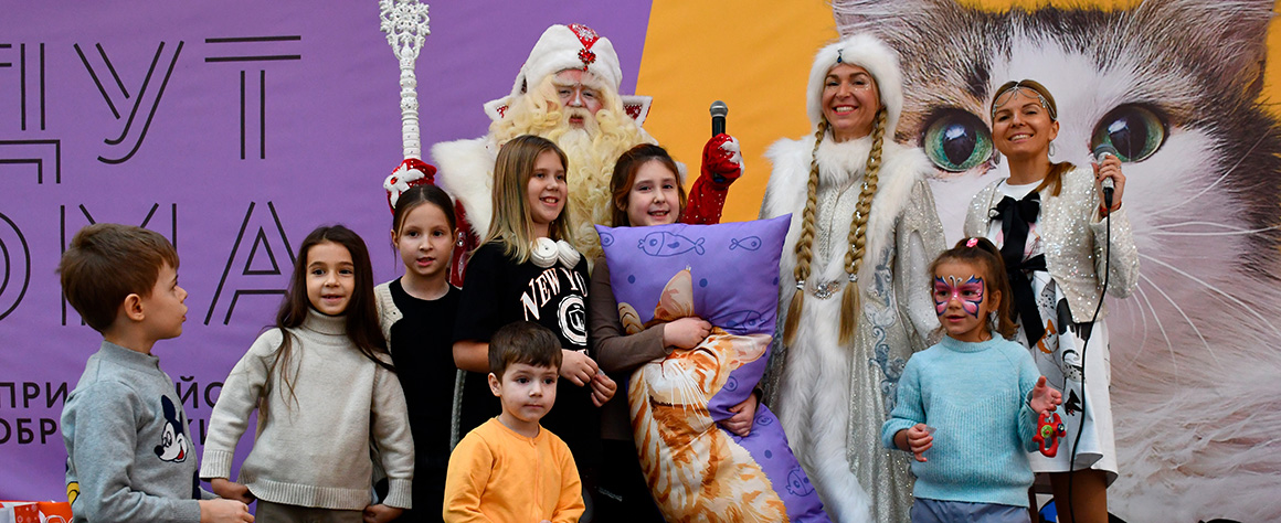 дакимакура для фонда ДОМ, габардин 153 гр., 50х150