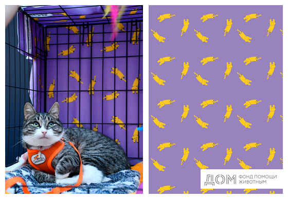 плед флисовый для фонда ДОМ